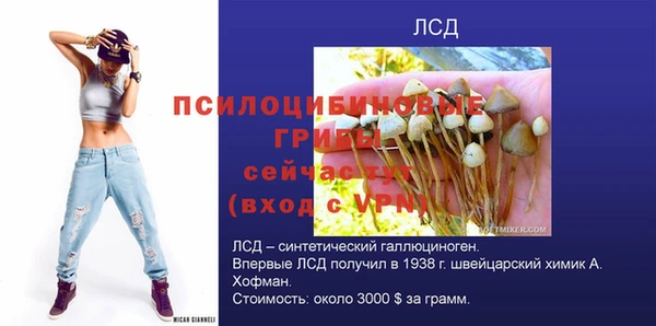 ГАЛЛЮЦИНОГЕННЫЕ ГРИБЫ Арсеньев