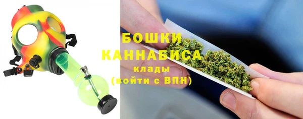 ГАЛЛЮЦИНОГЕННЫЕ ГРИБЫ Арсеньев
