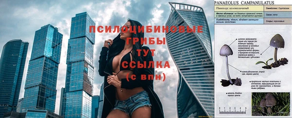 ГАЛЛЮЦИНОГЕННЫЕ ГРИБЫ Арсеньев