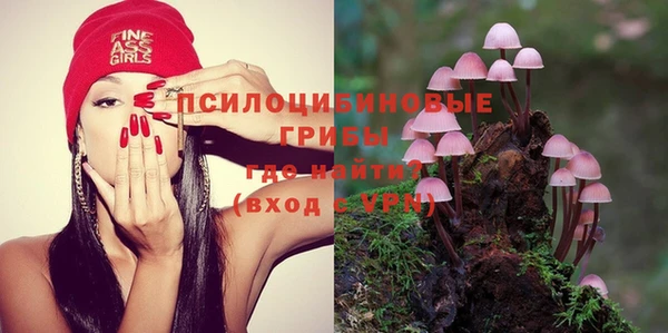 ГАЛЛЮЦИНОГЕННЫЕ ГРИБЫ Арсеньев