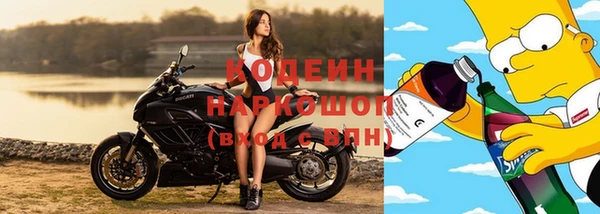ГАЛЛЮЦИНОГЕННЫЕ ГРИБЫ Арсеньев