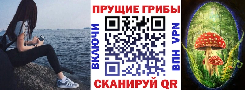 OMG онион  Полярные Зори  Галлюциногенные грибы Psilocybe 